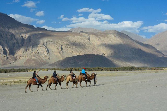 Leh Ladakh Tour Packages - Collection Leh Ladakh Tour Packages - Collection