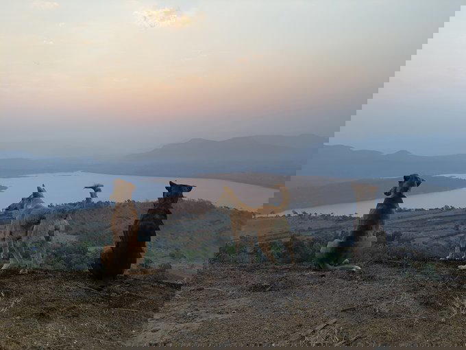 Irshalgad Fort Trek A Crowned Pinnacle | Night Trek - Tour