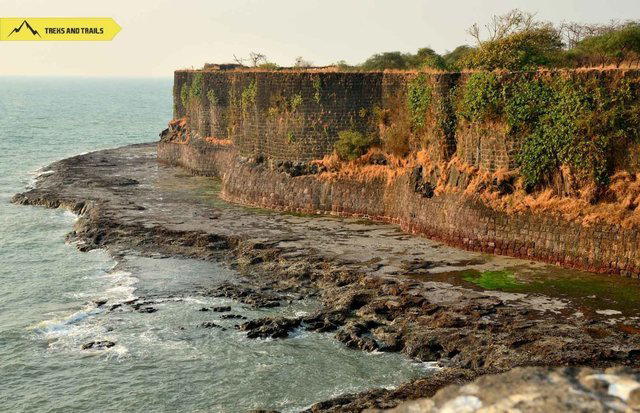 Anjarle Turtle Festival from Mumbai and Pune - Collection