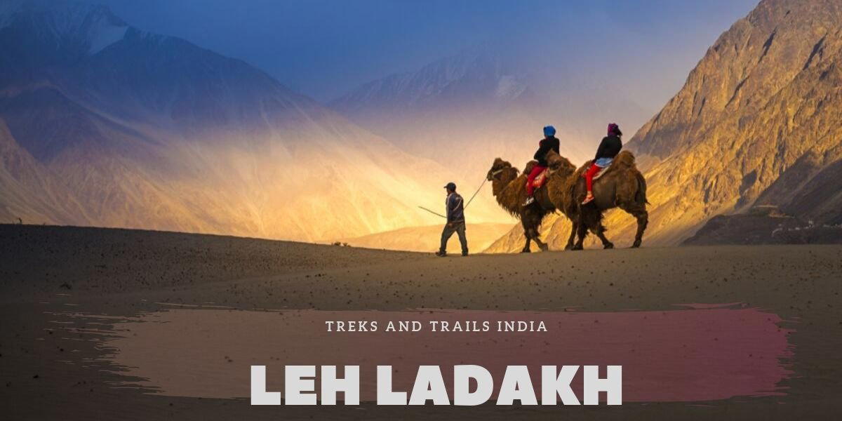 Leh Ladakh Tour - Tour